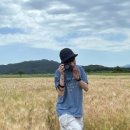 (주)인사이트미디어 이미지