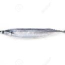 탑클래스짐 이미지