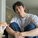 코드 쿤스트 카카오 검색결과