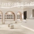 홍제24시모아동물의료센터 이미지