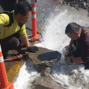 기동반-24 이미지