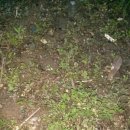 새금성교회 이미지