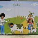 치즈씨 이미지