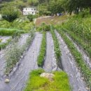 감고을펜션 이미지