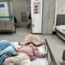 부산광역시의료원 한방병원 | 부산 아이장염(복통, 설사,배앓이 진료) 동의의료원 소아청소년과 다녀온 후기