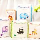 허리샘 바이오 이미지