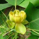 부귀면행정복지센터 이미지