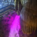 부일횟집 | 강원도 삼척 여행, 대금굴과 맛집 부일막국수 그리고 임원항 일미횟집과 쏠비치 삼척 방문기..