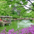 해제남초등학교 이미지