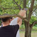(주)사조대림 칠서공장 이미지