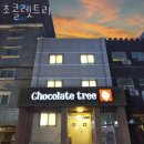 초콜렛트리 | 마포구 노고산동 호텔 초콜렛트리 접근성 OTT 후기