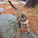 궁촌의 아침 민박 이미지