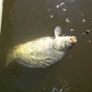 한터낚시터 이미지