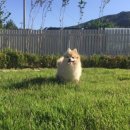 두푸딩하우스 이미지