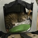 오렌즈현대아울렛대전점 이미지