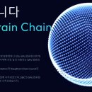 브레인체인 이미지