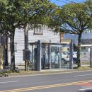 바른갈치 이미지