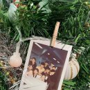 천유혼 태권도장 이미지