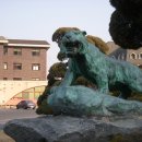 배재대학교부속유치원 이미지