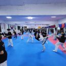 강인태권도체육관 이미지