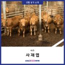 배울안농장 이미지