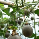 신선농장 이미지