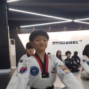 용인대비룡태권도사관학교