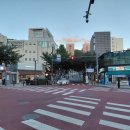 탱글이 문어 이미지