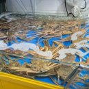 청량리회집 이미지