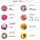 토우빈대떡 | 쿠라비토.10월3일.시음후기