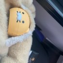 순암로36번길 | 너도 빙하기 공룡처럼 멸종되지 않게 조심해🦕🦖