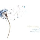 감성 수채화 캘리그라피 이미지