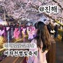 (주)진해군항렌터카 | 진해벚꽃실시간 2026 진해군항제 여좌천 별빛축제 개화 실시간 후기