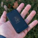 팜 (palm) 이미지