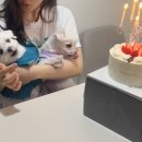 여탕란제리 | 2023년 4월 그리고 5월의 기록장(feat.실험실조교)