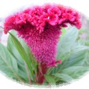 도천어린이집 이미지