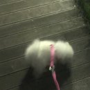 금비동물병원 이미지