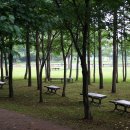 평화의 소리 이미지