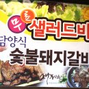 시청 소나무 이미지