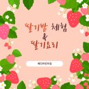 예인어린이집 이미지