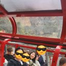 (주) 씨푸드락 이미지