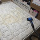 충무공동8 | [진주 매트리스 청소]충무공동 LH8단지 매트리스 청소후기 | 우수케어