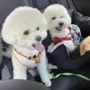 까망펜션 이미지