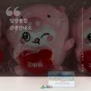 밀양역종합관광안내소 | 밀양역 밀양종합관광안내소 굿바비 굿즈 관광상품 전시 소개