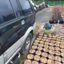 순익농장 이미지