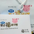 선물 | 부산 기념품 추천 황금복돼지빵 여행 선물 후기