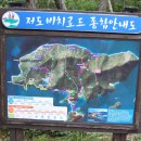 하포횟집 | [창원] 저도 용두산(202.7m) 산행후기---2015년 9월 2일(수)