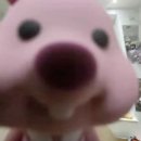 선데이버거클럽 이미지