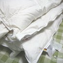 구스퍼니 이미지