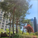 용호초교 | 용지아이파크, 용호동용지아이파크 봄바람 타고 둘러본 실제 거주 감성 후기 🌸
